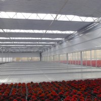 Verdunkelungsanlage für Blumen