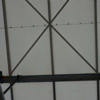 Insektenschutz